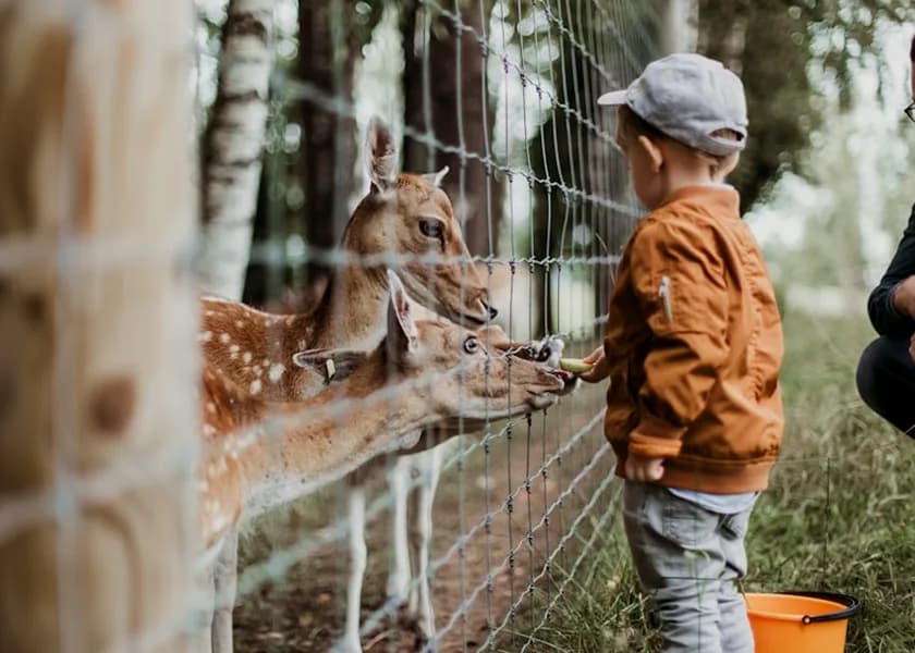 Family visit to a zoo
