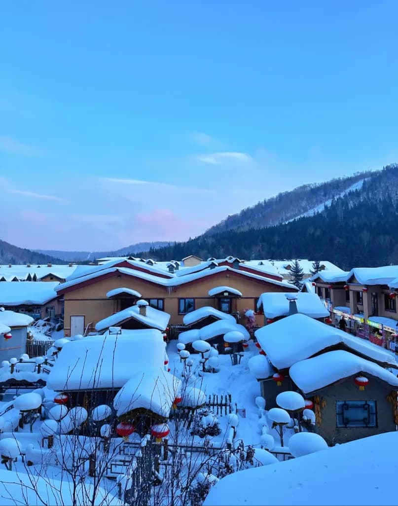 Day 5 — Snow Village Morning · Return to Harbin · Farewell