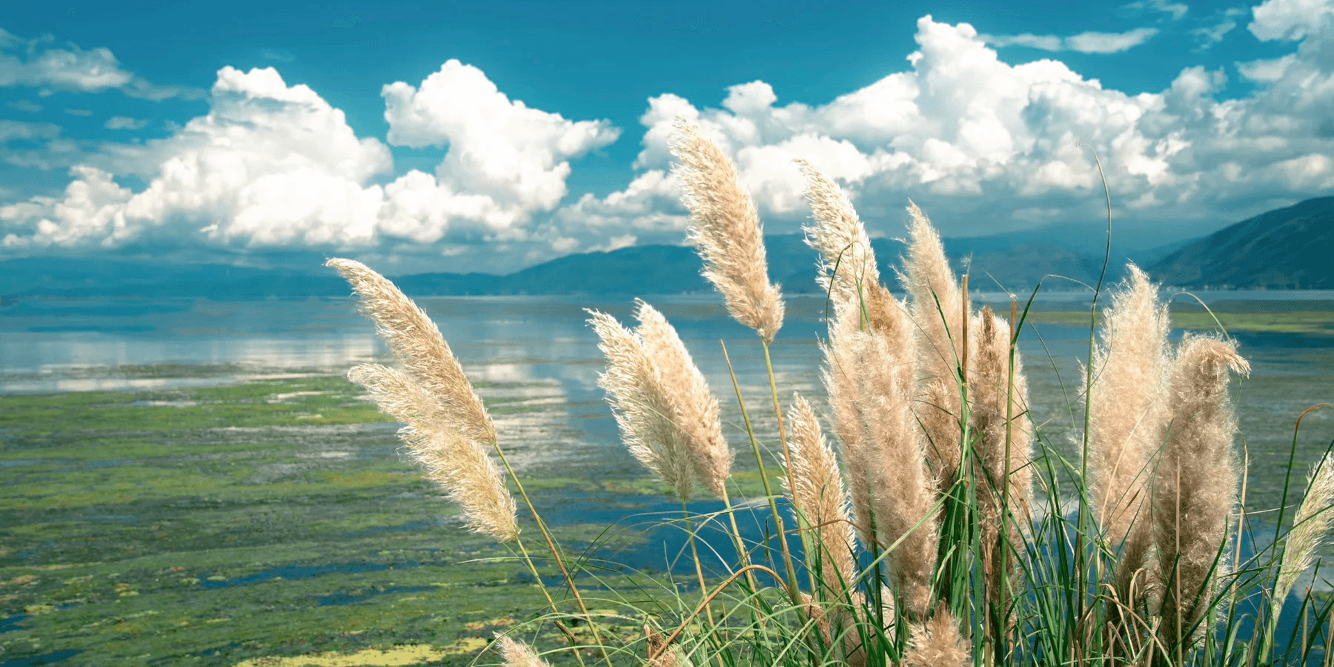 Lakeside scenery for multigenerational family travel in China — TravelToQin