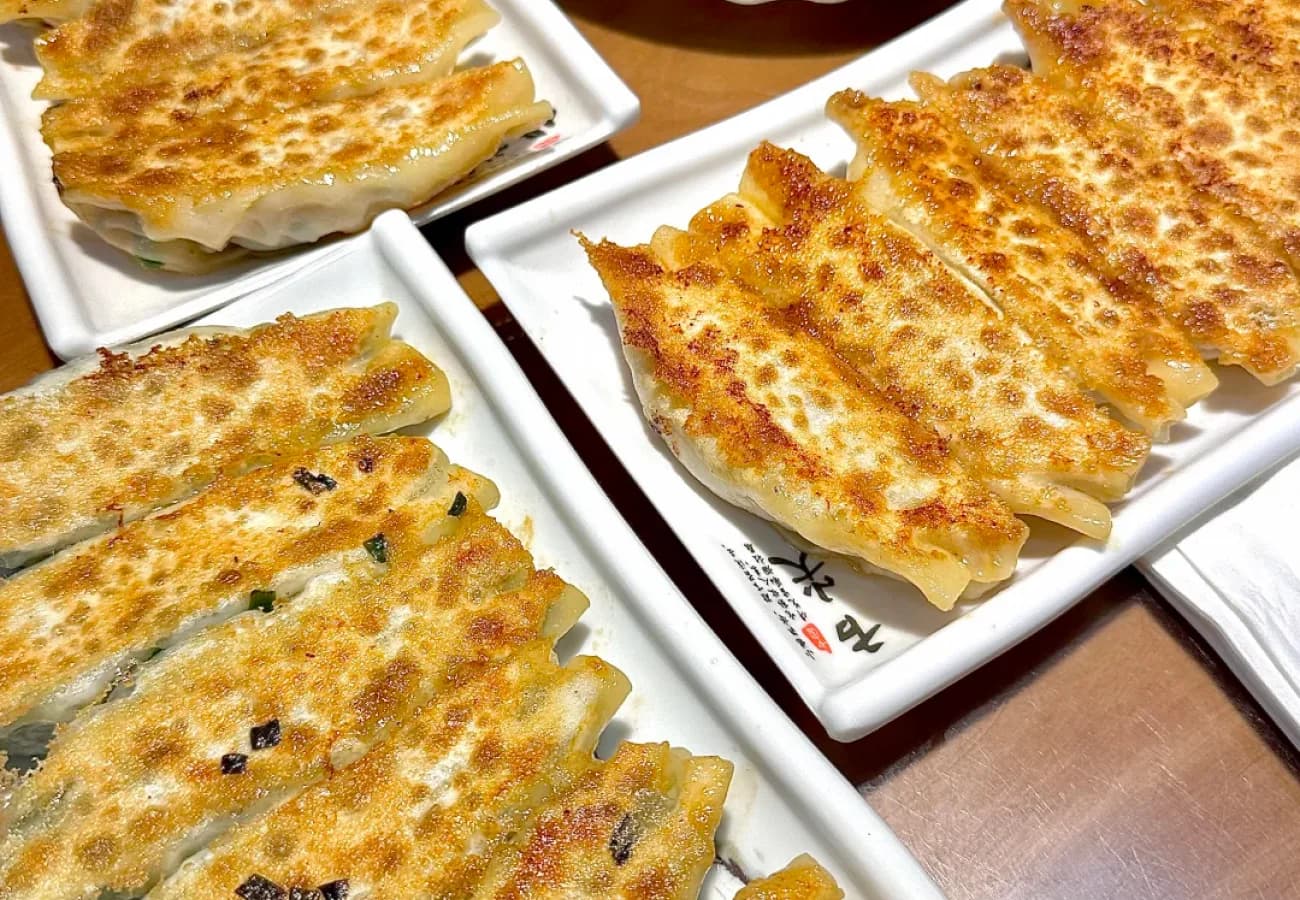 Fried Dumplings
