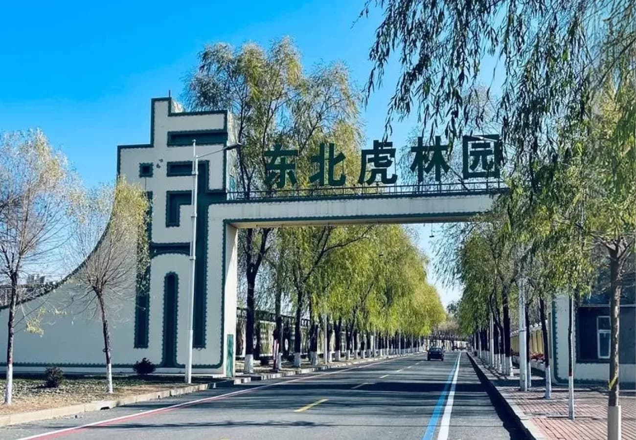 Siberia Tiger Park