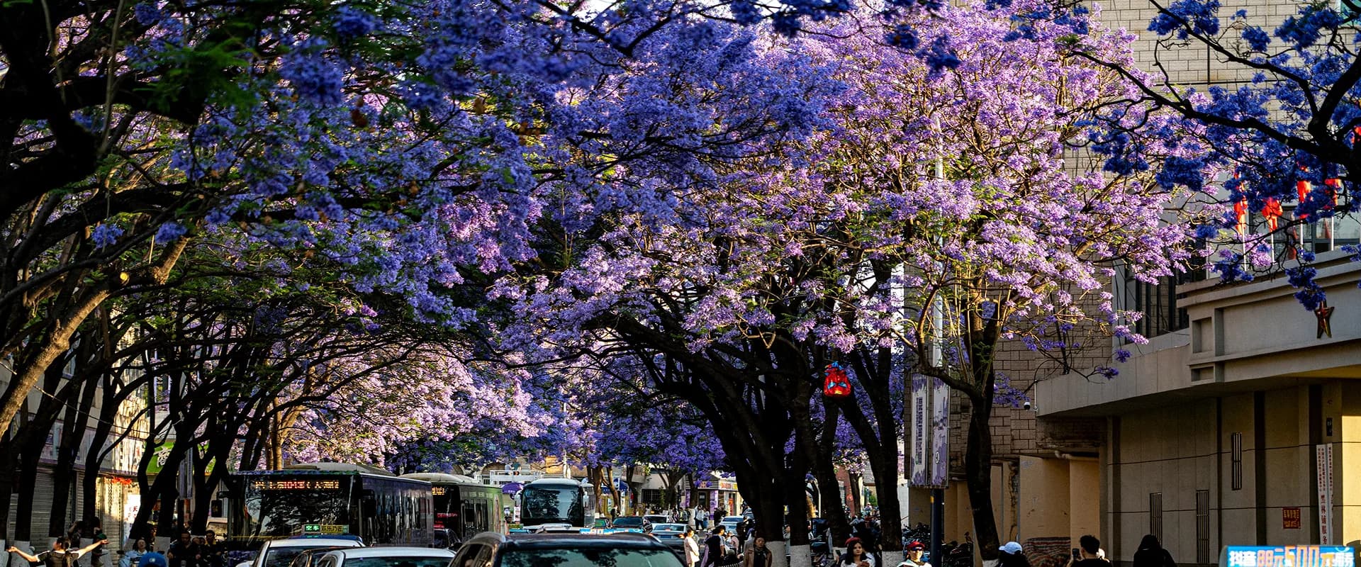 Kunming