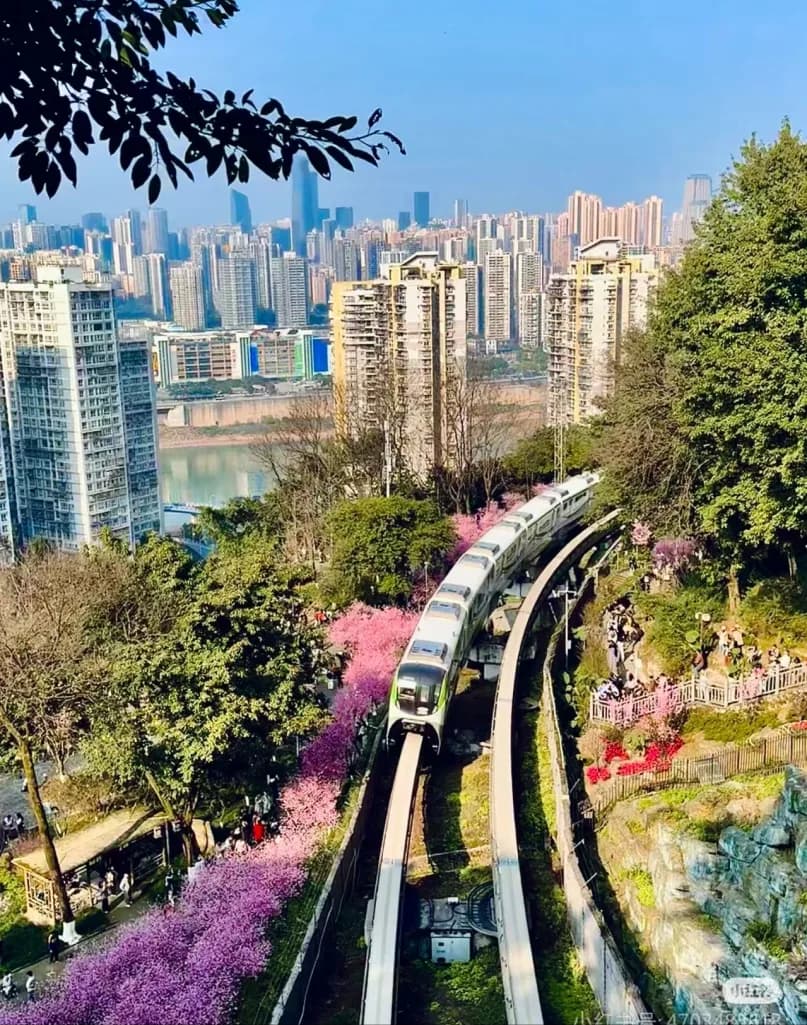 Day 3 — Light Rail Scenic Ride · Ciqikou Ancient Town · Jiefangbei Street