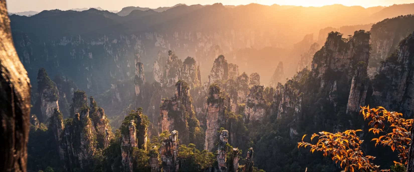 Zhangjiajie 5D4N Tour