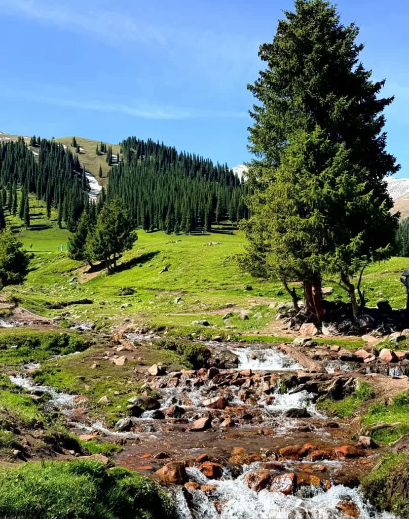 Day 6 — Nalati Grassland