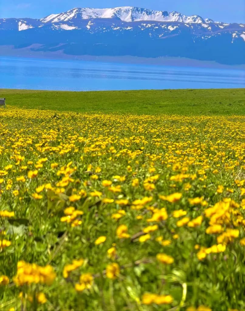 Day 3 — Sayram Lake · Guozigou Bridge