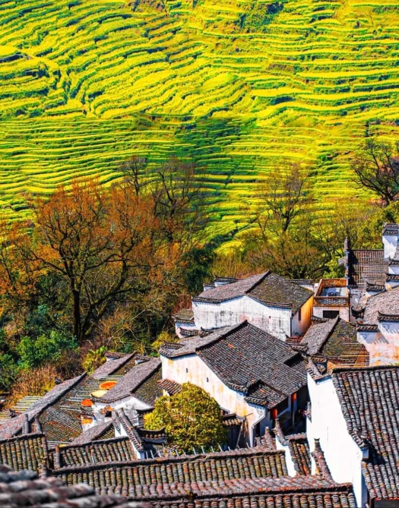 Day 3 — Wuyuan Huanling Village · Moon Bay