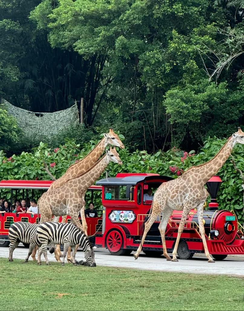Guangzhou 7D6N Tour — TravelToQin journey