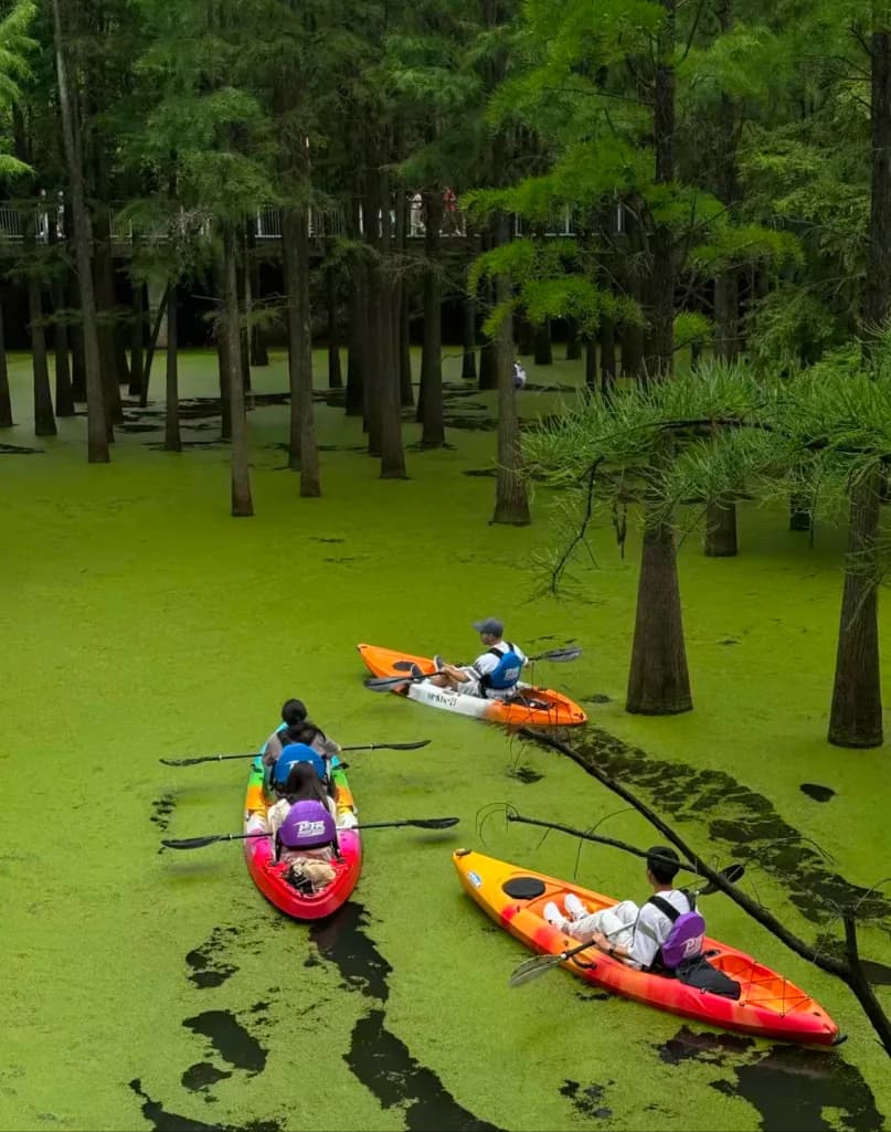 Day 1 — Hangzhou — Matcha Lake Canoe / Longjing Tea Garden