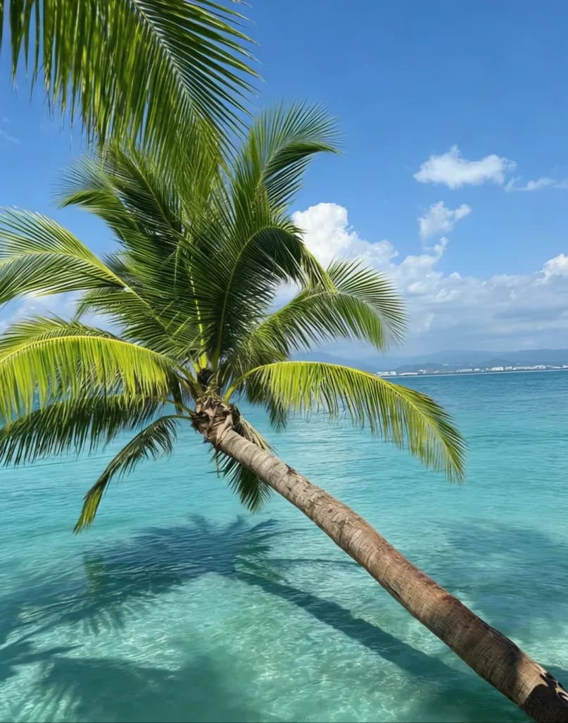 Day 4 — West Island · Snorkelling · Water Activities