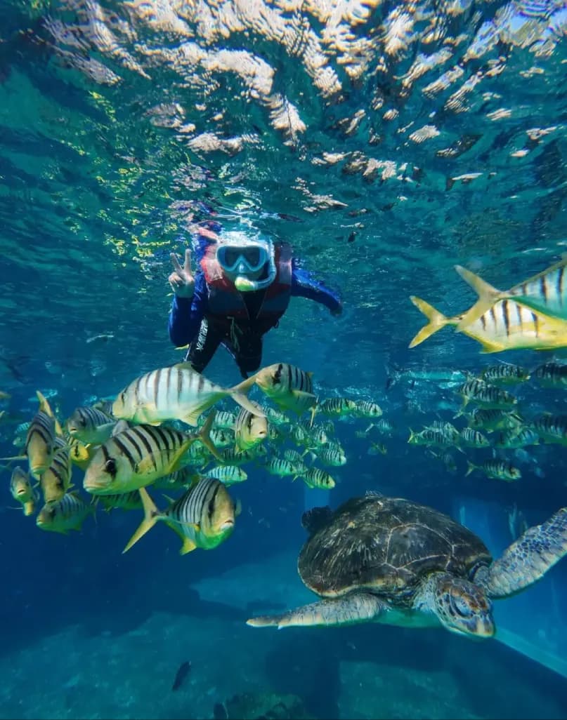 Day 6 — Helicopter Sightseeing / Scuba Diving · Sanya International Duty Free City