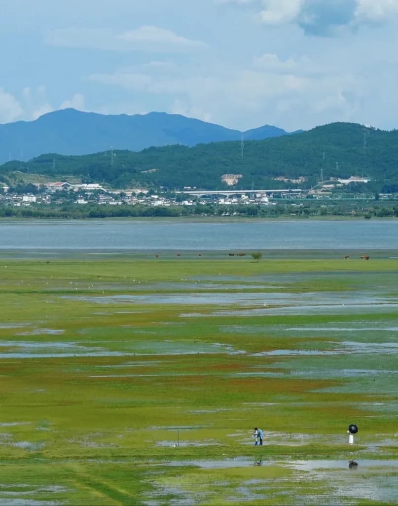 Day 6 — Lashihai Park · Zhongyi Market · Lijiang Ancient Town