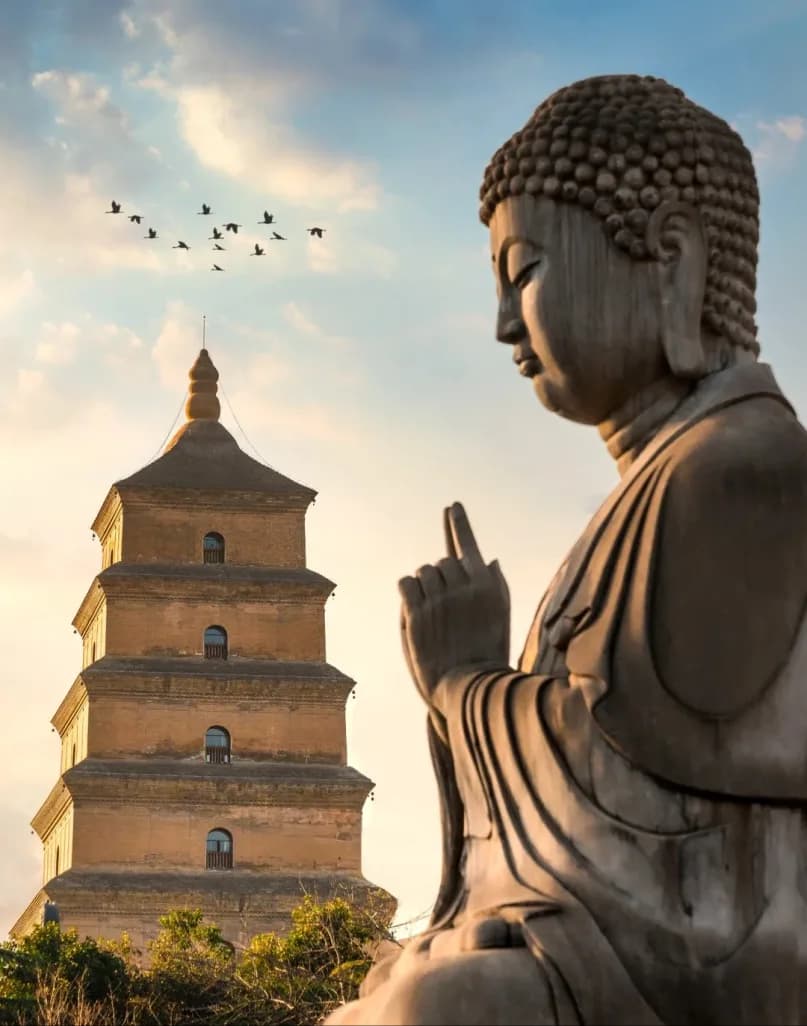 Xi'an 4D3N Tour — TravelToQin journey