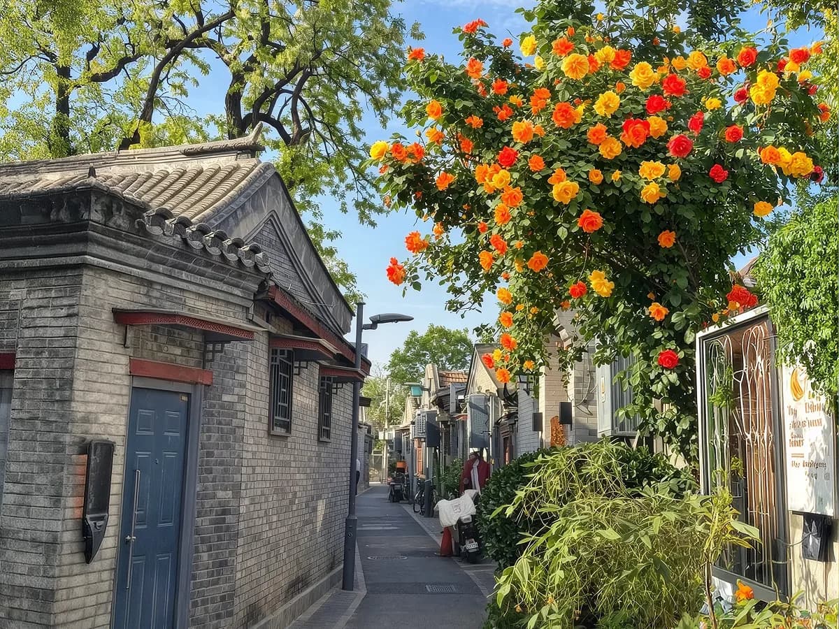 Beijing Hutongs: How to Walk Living Alleys Well