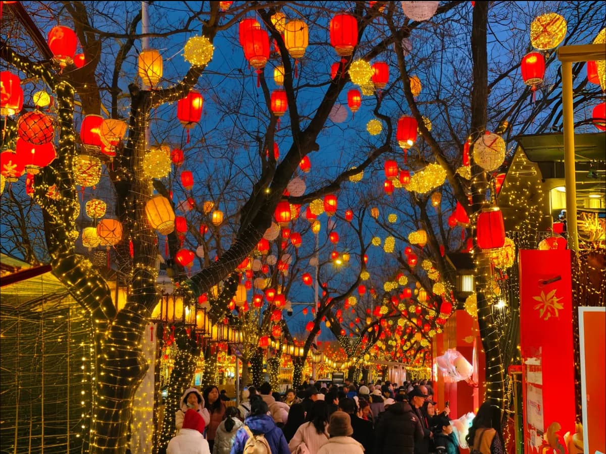 Visiting China During Chinese New Year: Winter Routes and What Still Opens