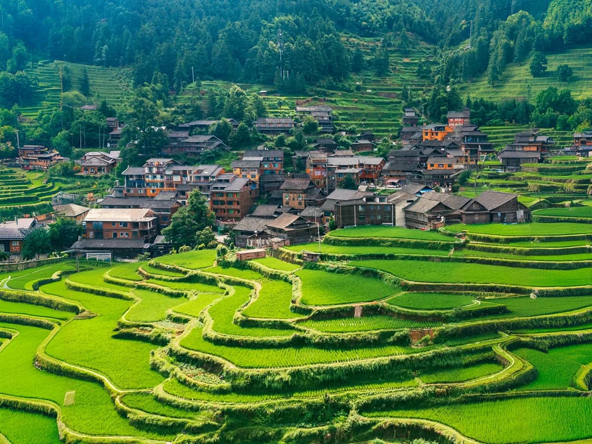 Longji Rice Terraces Trip Planning: Worth a Full Day from Guilin?