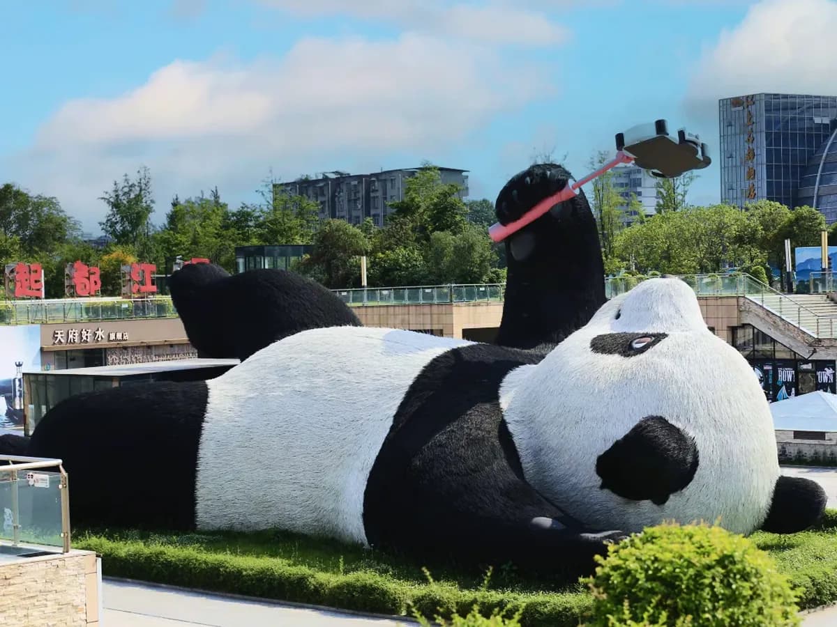 Dujiangyan Panda Base: Closed Campus vs Panda Valley