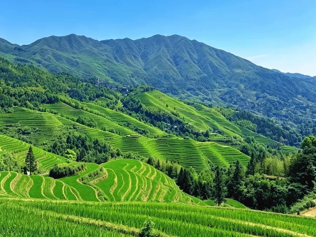 Longji Rice Terraces Tour: A Highland Day, Not a Join-In Bus