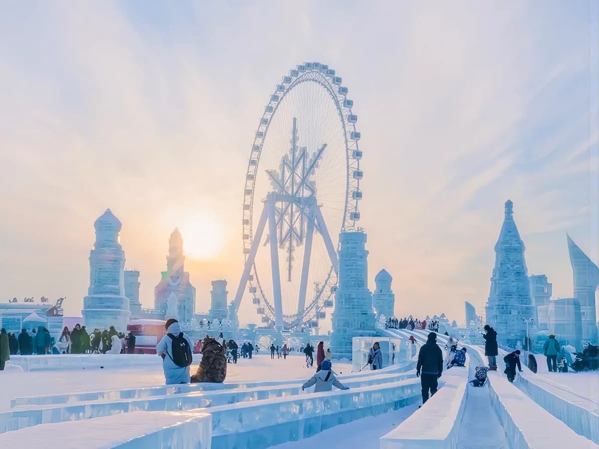 Harbin Snow Festival: Five Nights, Three Winter Blocks