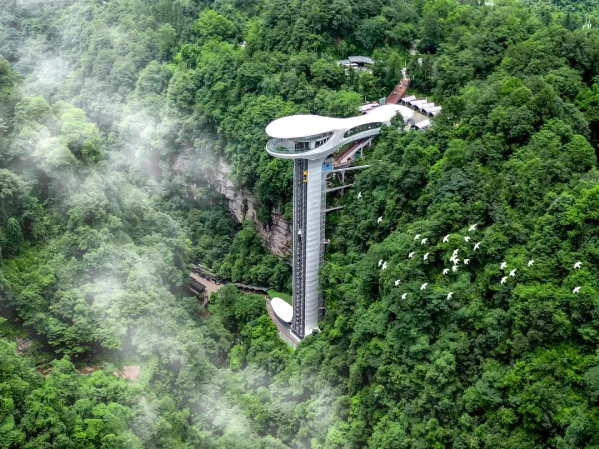 Bifengxia Giant Panda Base: Ya'an, Not the City Base