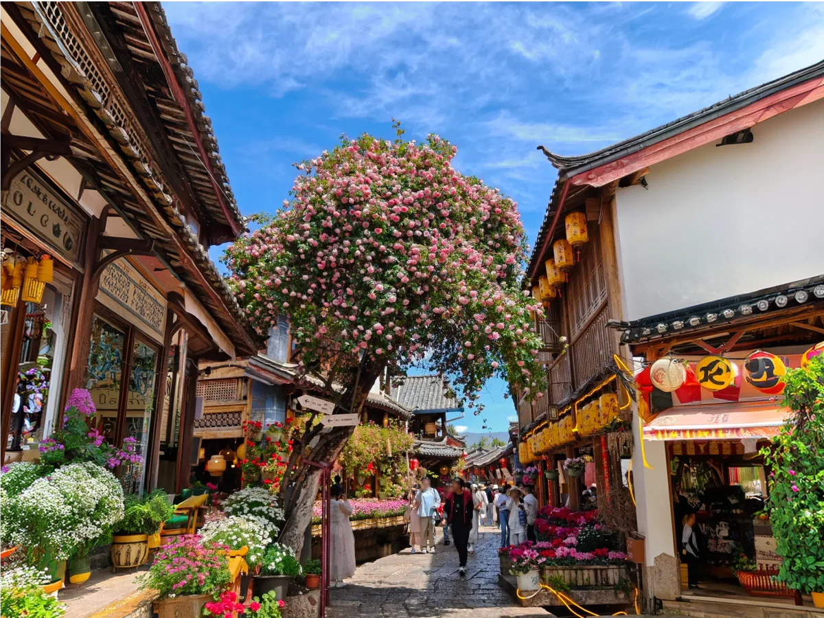 Summer street view of Lijiang Old Town
