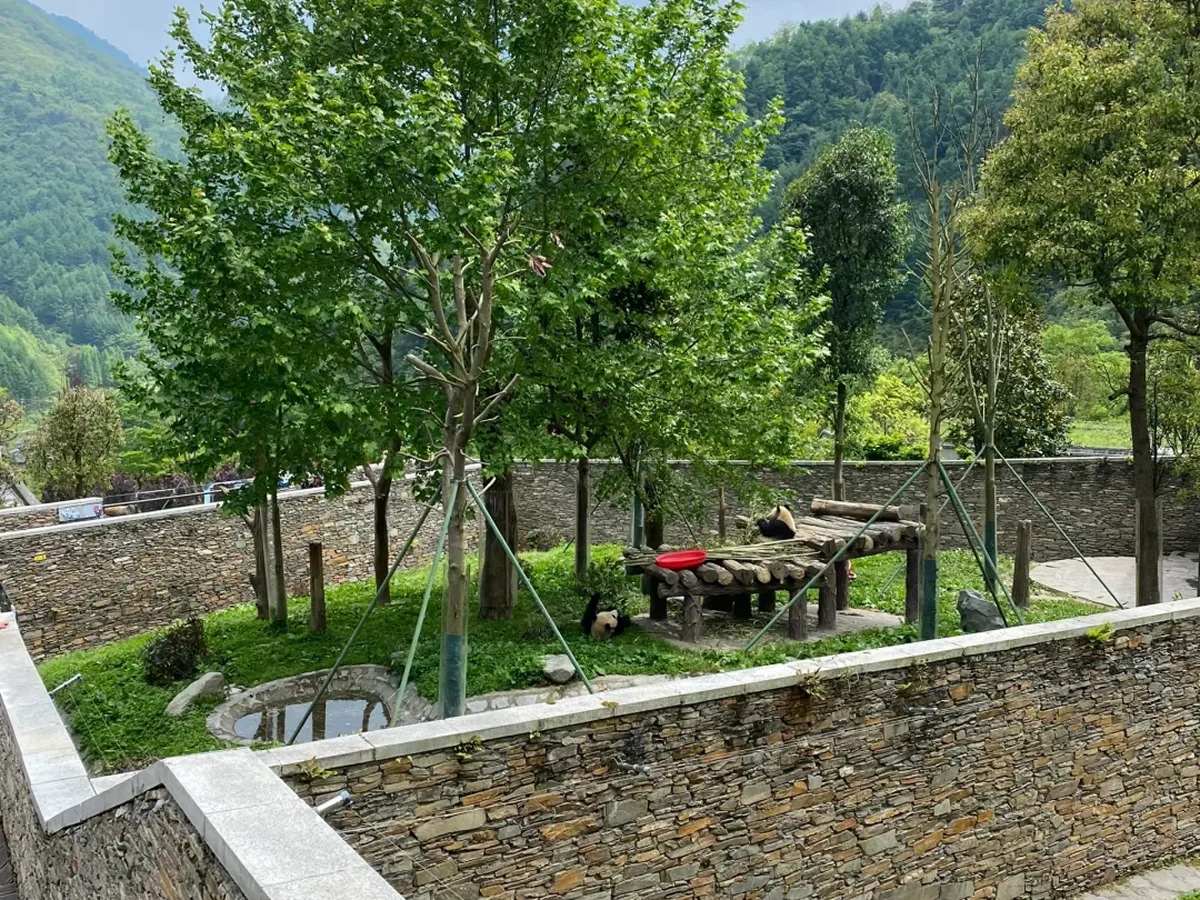 Wolong Shenshuping panda base in the mountains