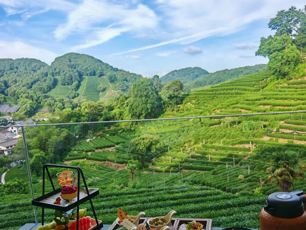 Longjing tea terraces in Hangzhou, China